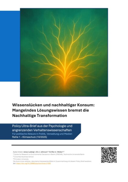 Pub2025 Wissenslücken Page 1